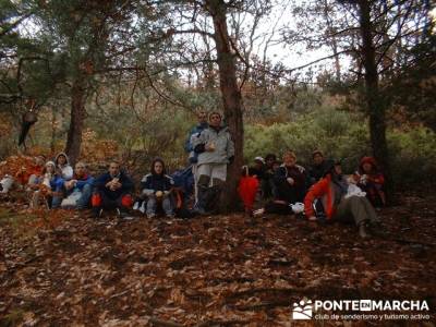 Parque Natural de Tejera Negra; rutas en la pedriza; el yelmo la pedriza